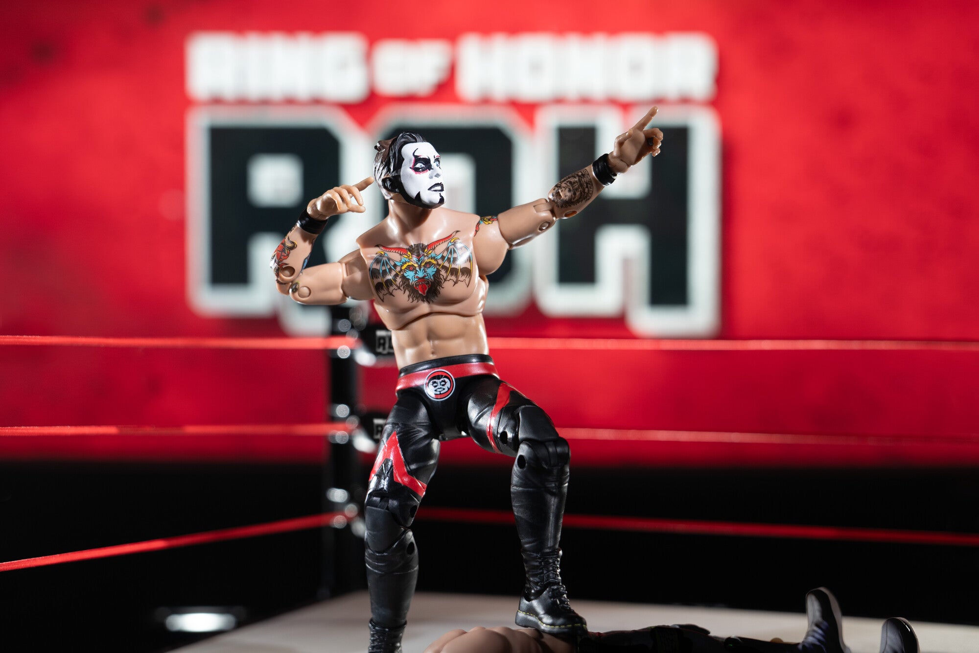 AEW-ROH-DTC-DANHAUSEN-12011417Update-lpr.jpg