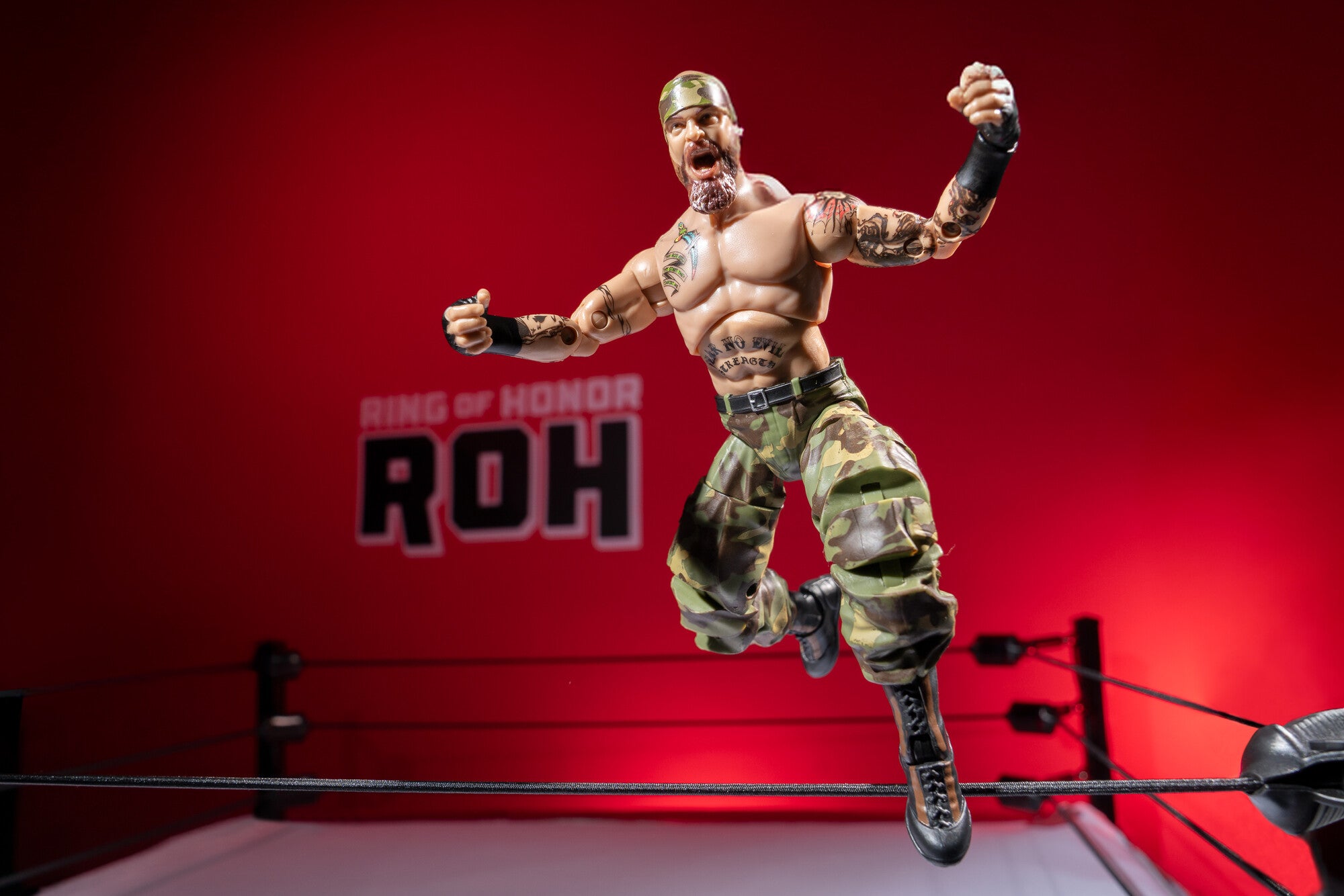 AEW0605_ROH_JAY_BRISCOE_ART6_lpr.jpg
