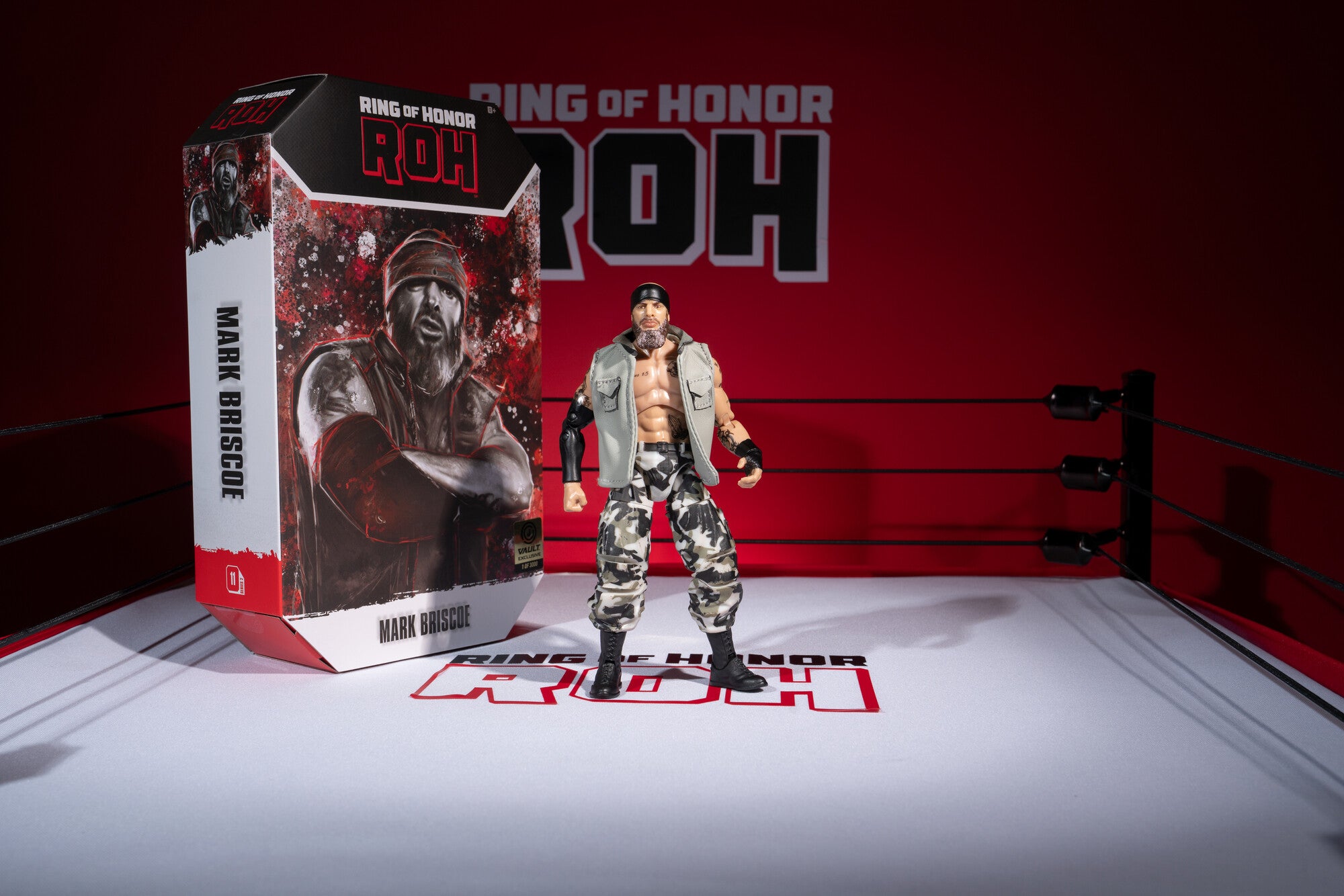 AEW0606_ROH_JAY_BRISCOE_ART8_lpr.jpg