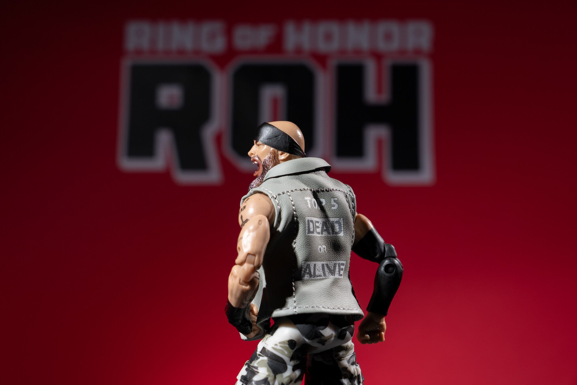 AEW0606_ROH_MARK_BRISCOE_ART3_lpr_75f5c673-b155-426f-aa5b-25f4b8c12856.jpg