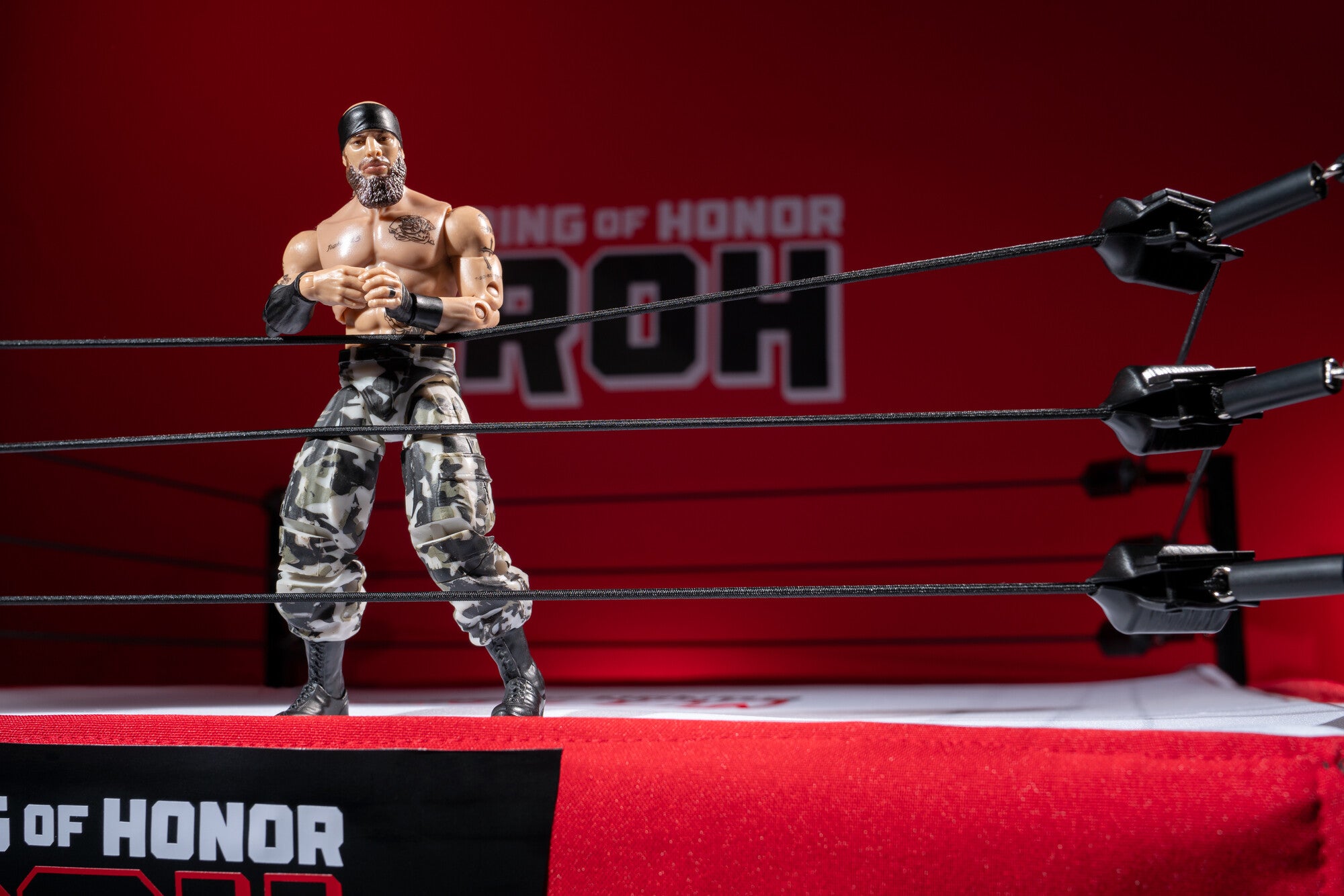 AEW0606_ROH_MARK_BRISCOE_ART5_lpr.jpg