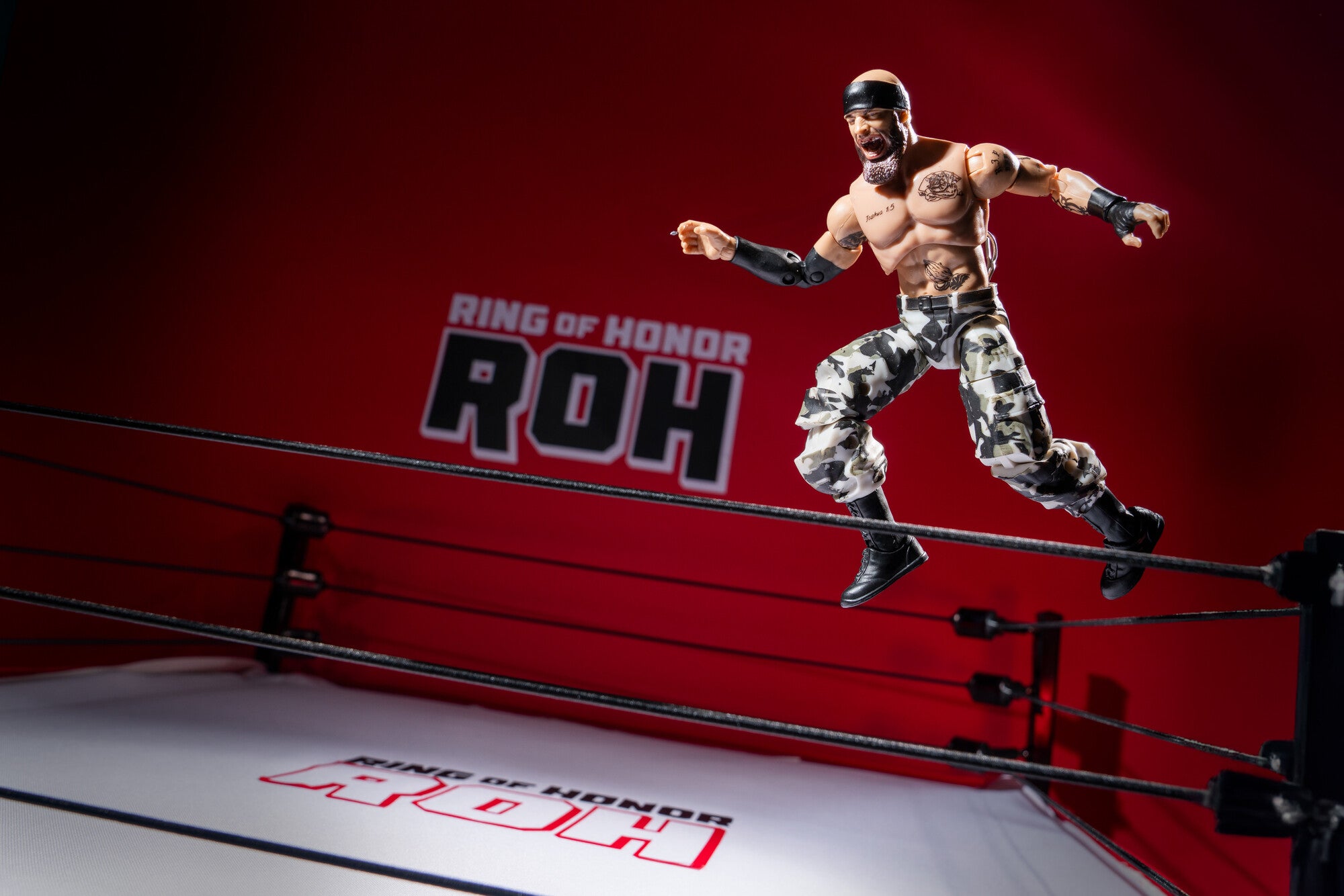 AEW0606_ROH_MARK_BRISCOE_ART6_lpr.jpg