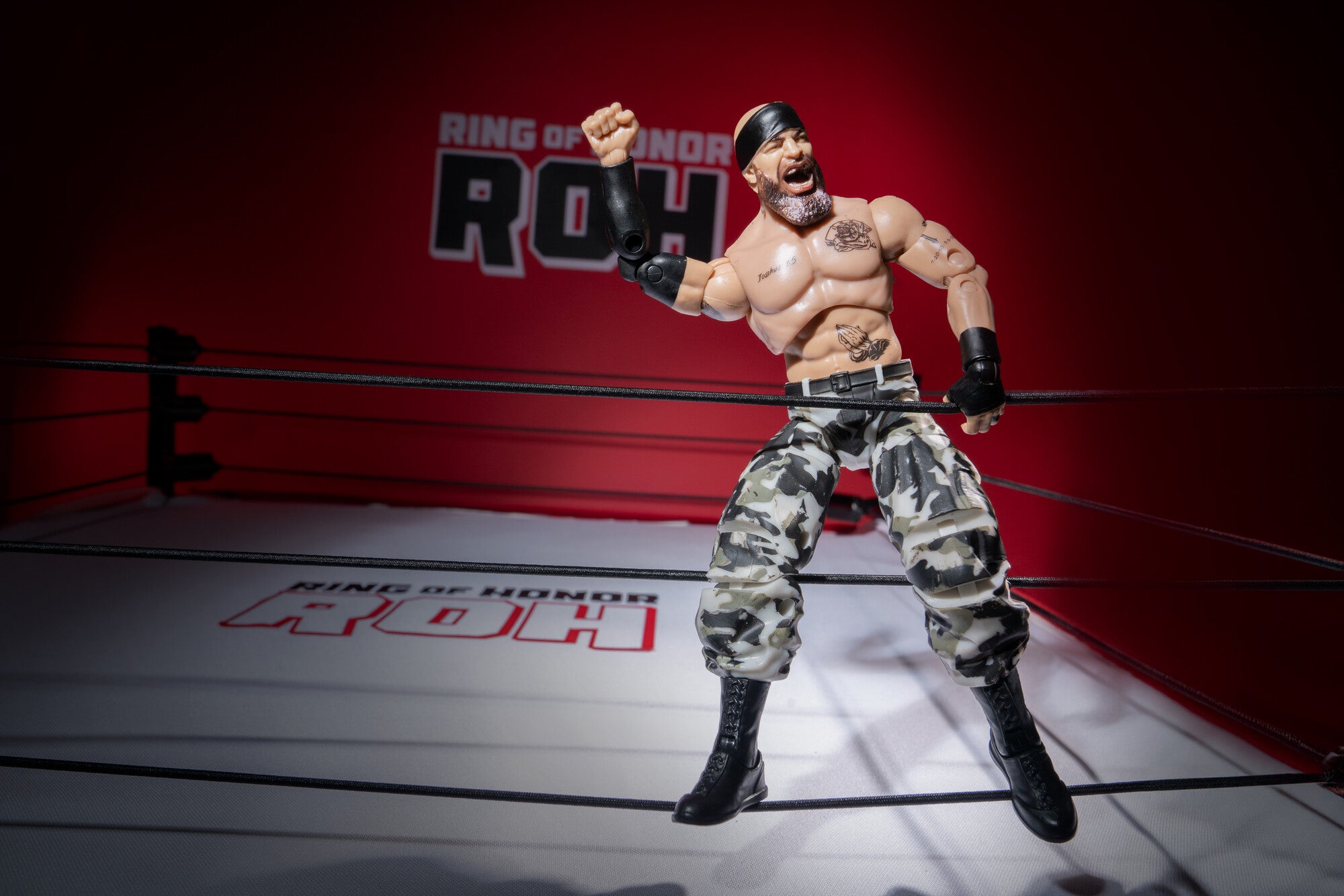 AEW0606_ROH_MARK_BRISCOE_ART7_lpr.jpg