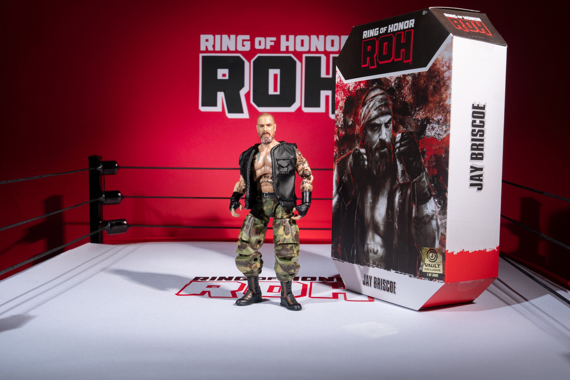 AEW0606_ROH_MARK_BRISCOE_ART8_lpr.jpg