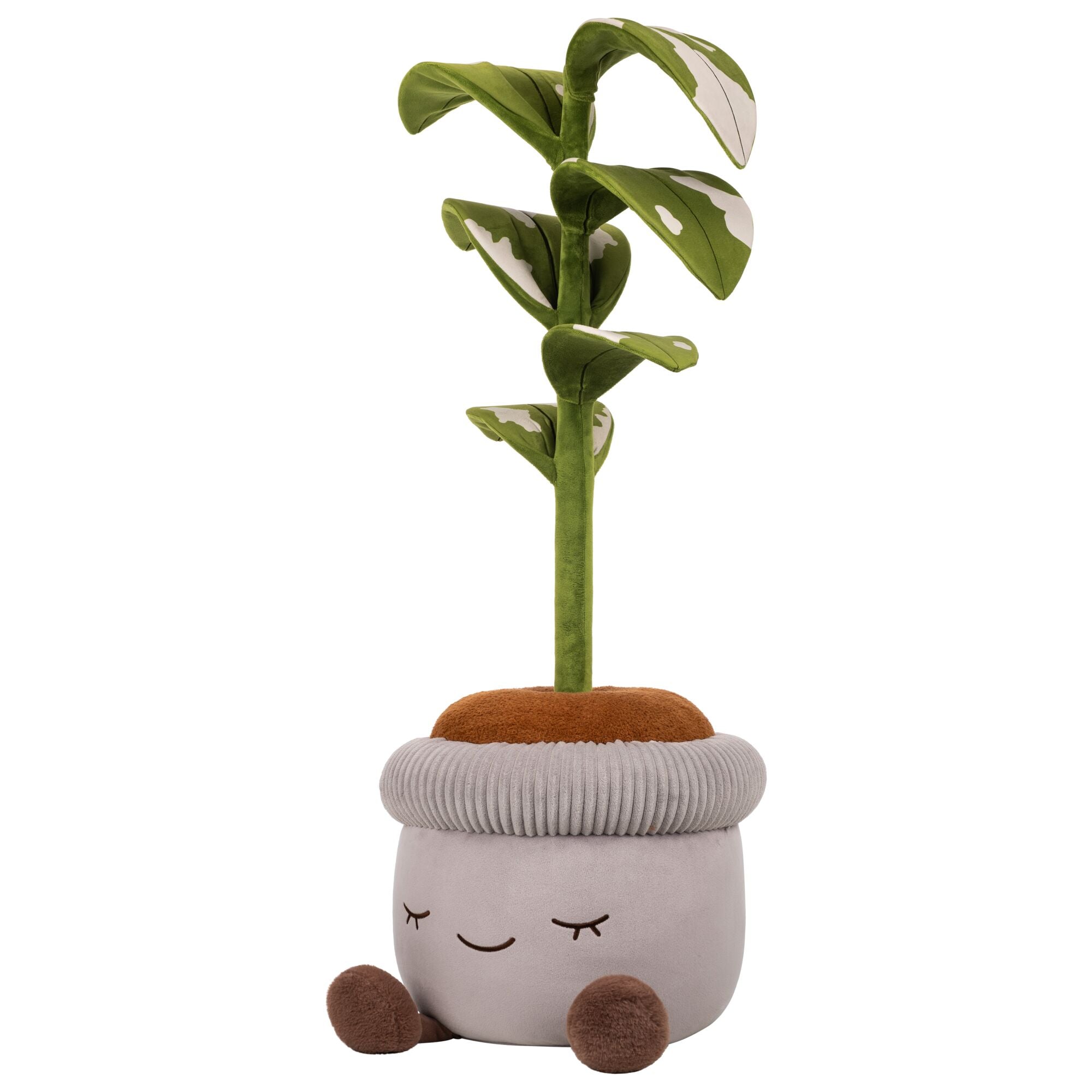 JPGOutput-RBGH00121_48inRubberTreeSIOC_OP3QL.jpg