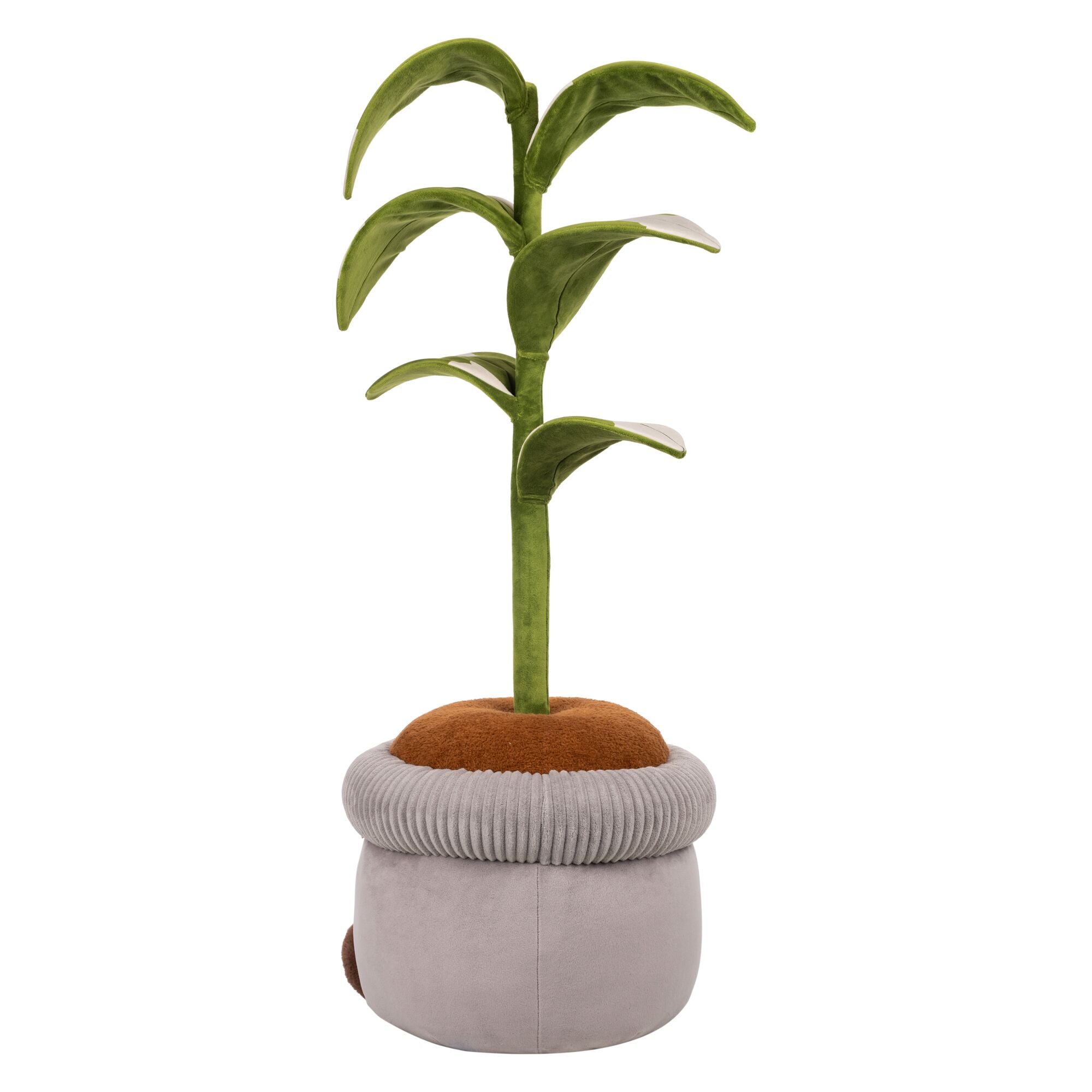 JPGOutput-RBGH00121_48inRubberTreeSIOC_OPB.jpg