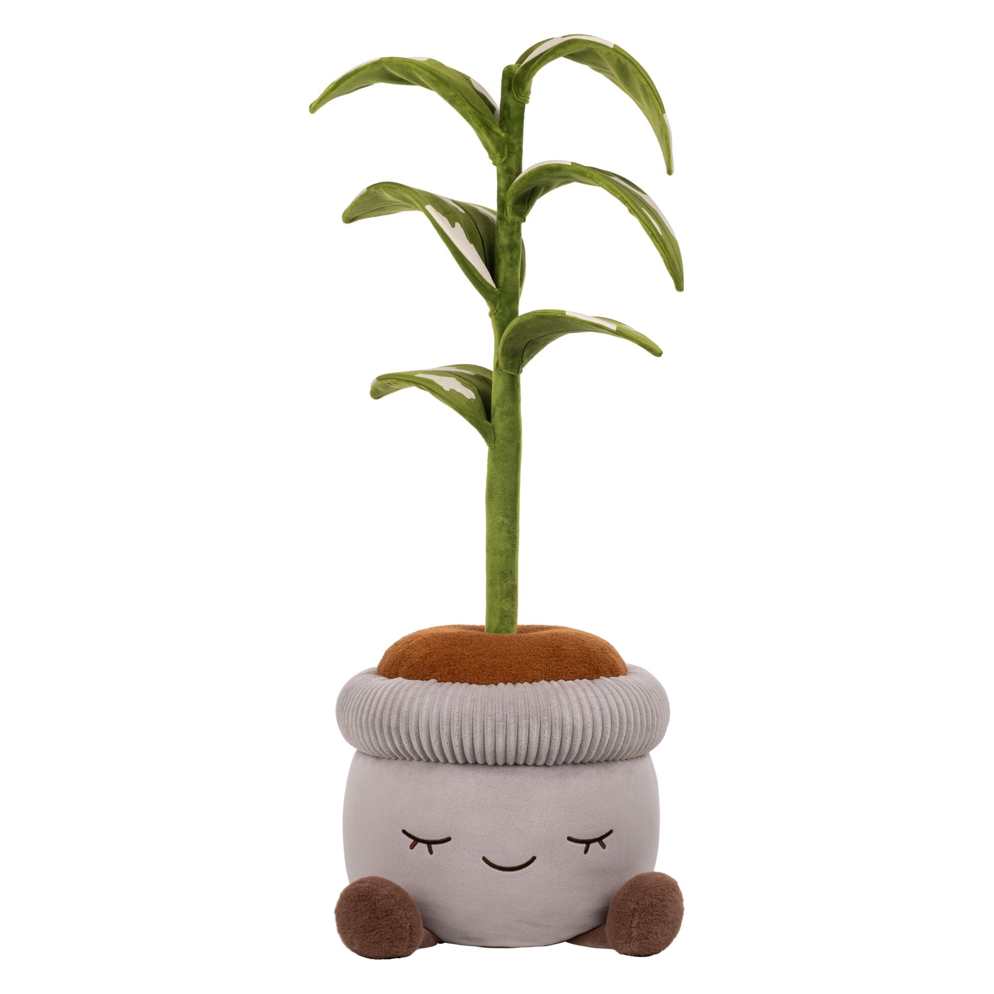 JPGOutput-RBGH00121_48inRubberTreeSIOC_OPF.jpg