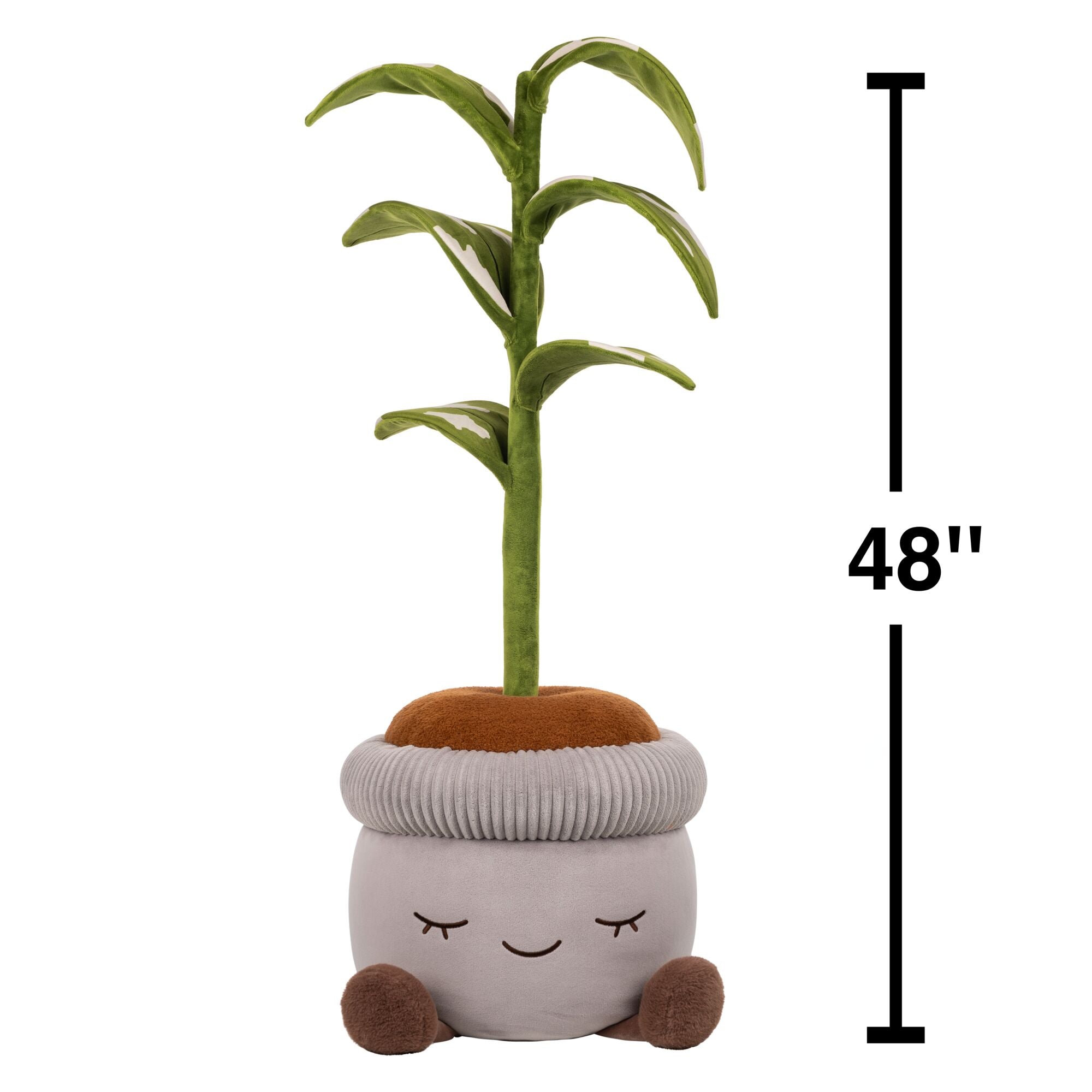 JPGOutput-RBGH00121_48inRubberTreeSIOC_OPF_Scaled.jpg