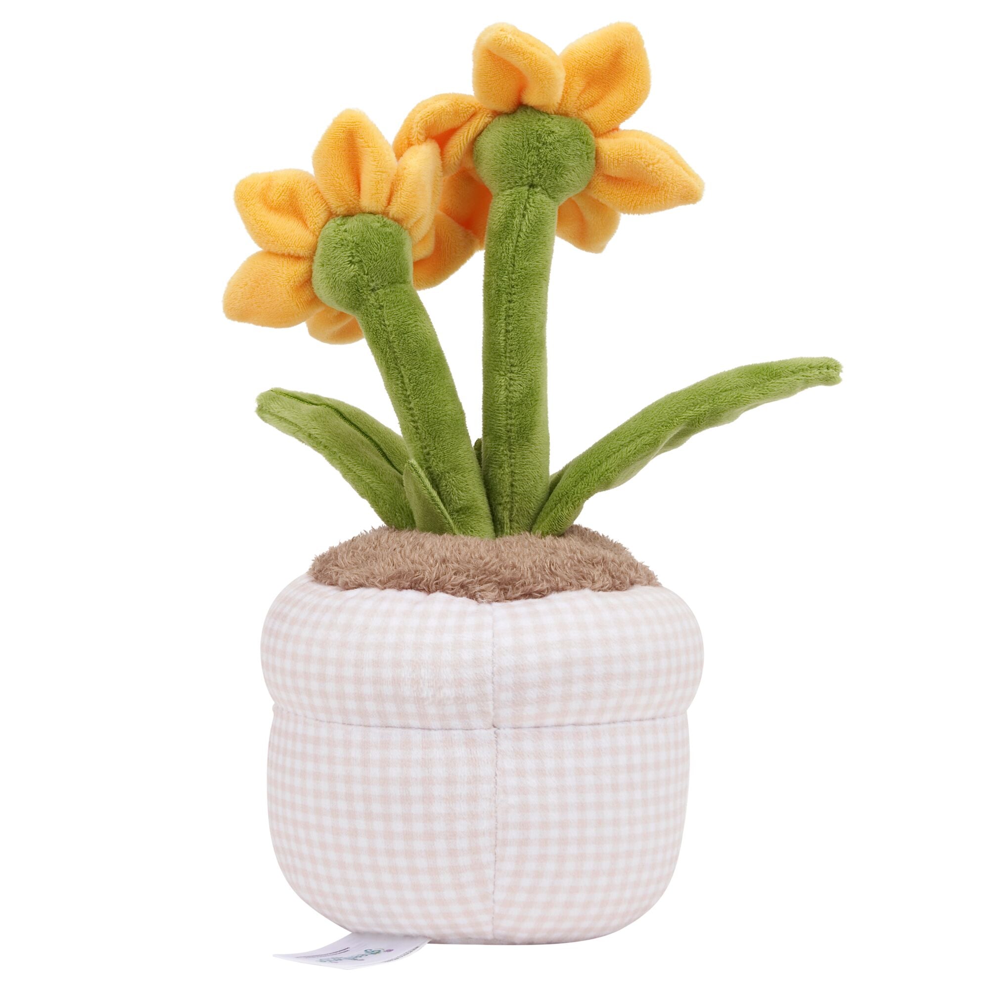 JPGOutput-RBGH00147_12inRussEasterDaffodilRecycled_OPB.jpg