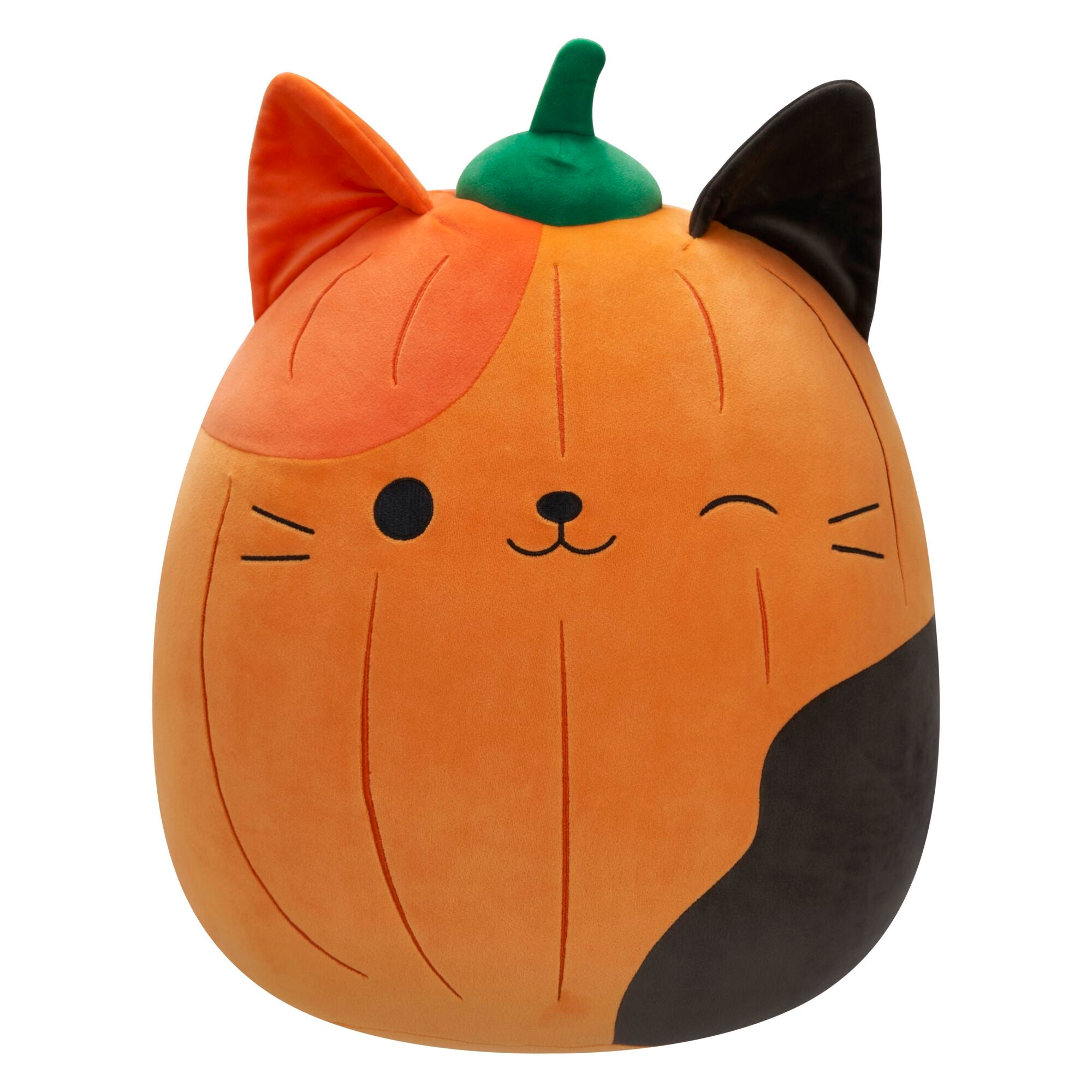 JPGOutput-SQHW01277_PumpkinCam_OPF.jpg