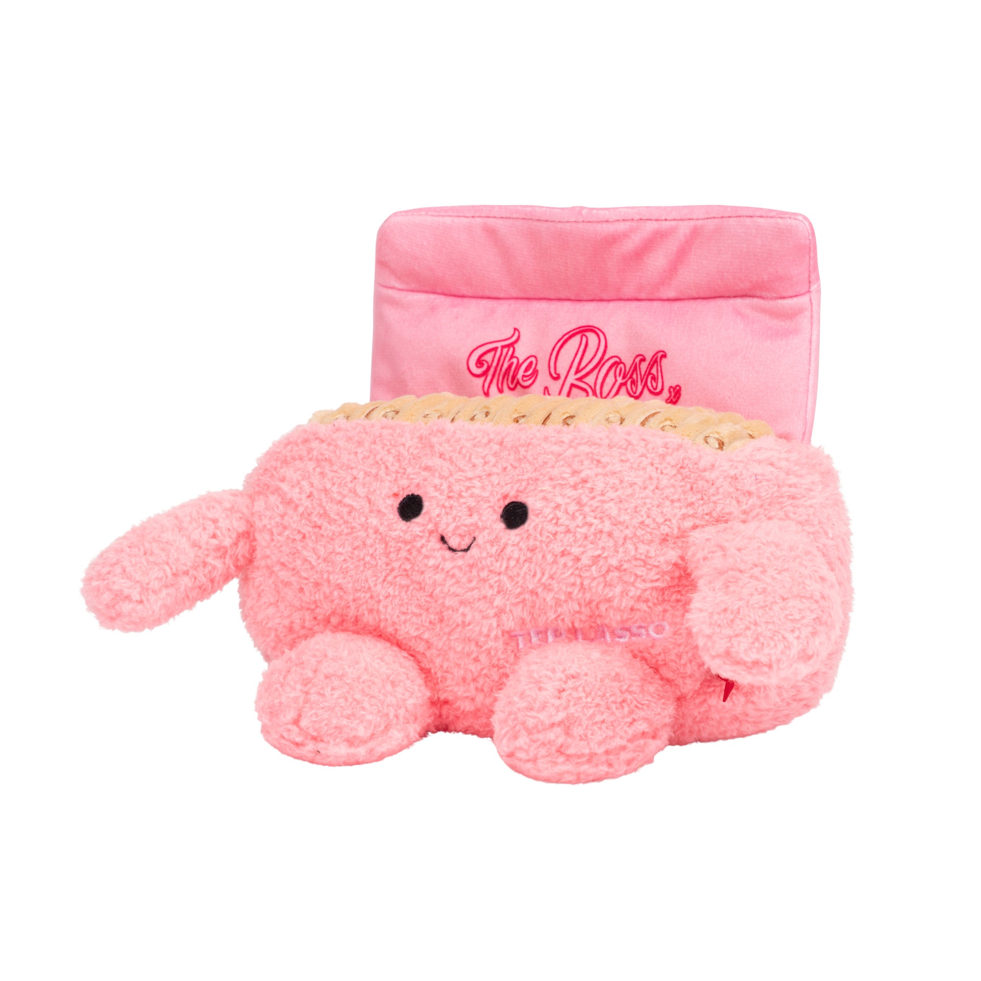 RBBZ01934_7-5in-Bum-Bumz-Ted-Lasso-Box-of-Biscuits_OP3QL.jpg