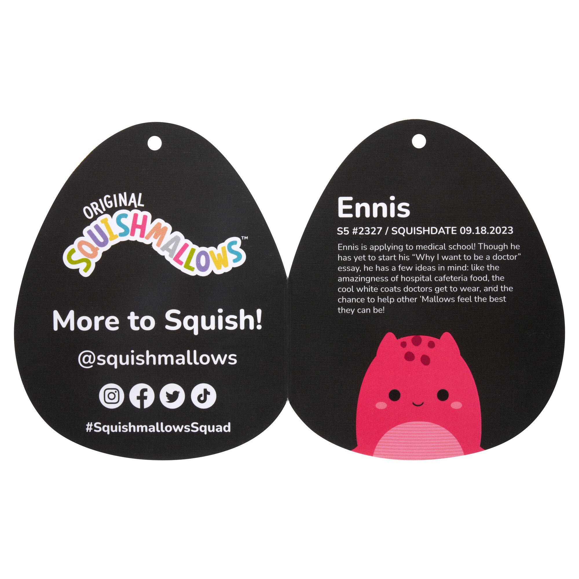 SQCR05123-Ennis-OP-Tagopen-lpr.jpg