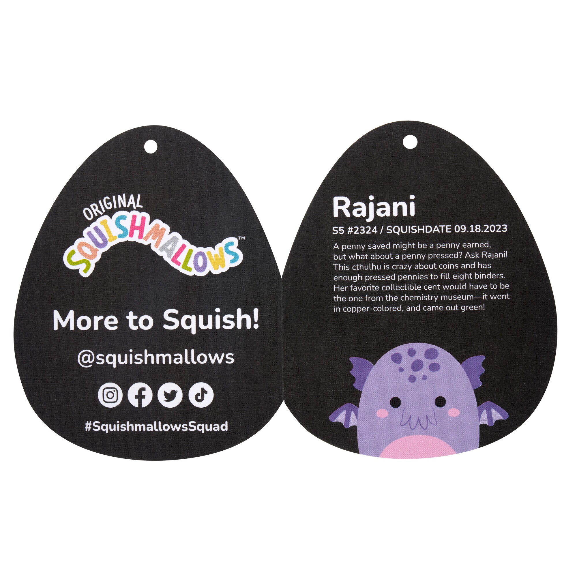 SQCR05123-Rajani-OP-Tagopen-lpr.jpg
